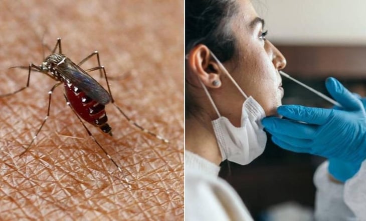 Detectan brote de dengue en Mexicali, Baja California; suman 15 casos en una semana
