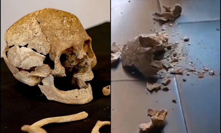 Rompen cráneo de 700 años durante presentación en Cholula, Puebla