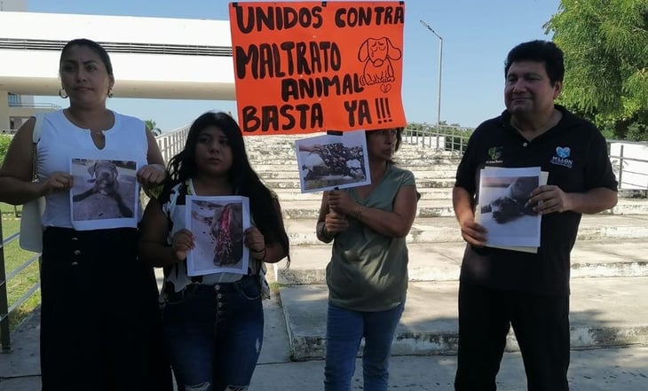 Matan a machetazos a “Orus”, un cachorro de pitbull de 4 meses en Mérida, Yucatán