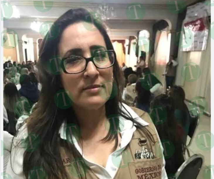 Claudia Garza renuncia y va por Senaduría