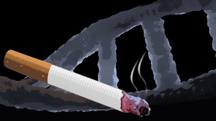 Fumar daña el ADN humano que normalmente prevendría el cáncer