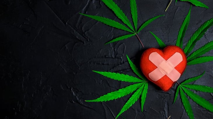 Asocian el consumo de marihuana con insuficiencia cardiaca, infarto de miocardio e ictus