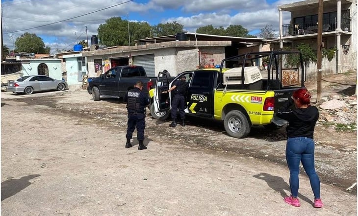 Reportan nuevo caso de envenenamiento masivo de perros en San Luis Potosí
