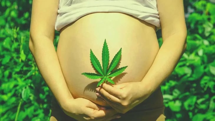 Consumo de cannabis durante el embarazo aumenta el riesgo de parto prematuro y bebés con bajo peso