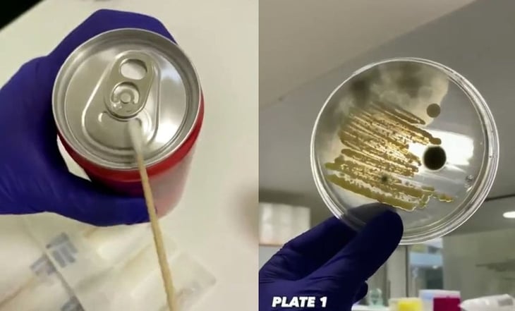 ¿No limpias las latas antes de abrirlas? Video muestra qué tan contaminadas están