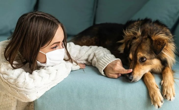 Detectan rara enfermedad respiratoria en perros en Estados Unidos ¿Afecta a humanos?