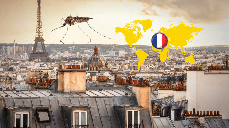 Primer caso de transmisión local de dengue en París