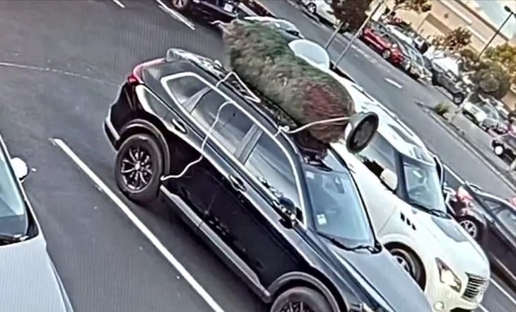 ¡Peor que el Grinch! Hombre se roba árbol de Navidad de una camioneta