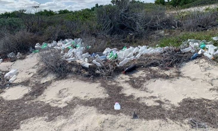 Contaminación de residuos tóxicos alcanza a puertos del litoral yucateco