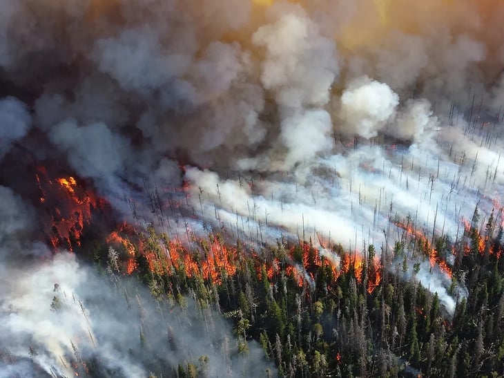 Los incendios forestales frenan los avances logrados contra la contaminación ambiental