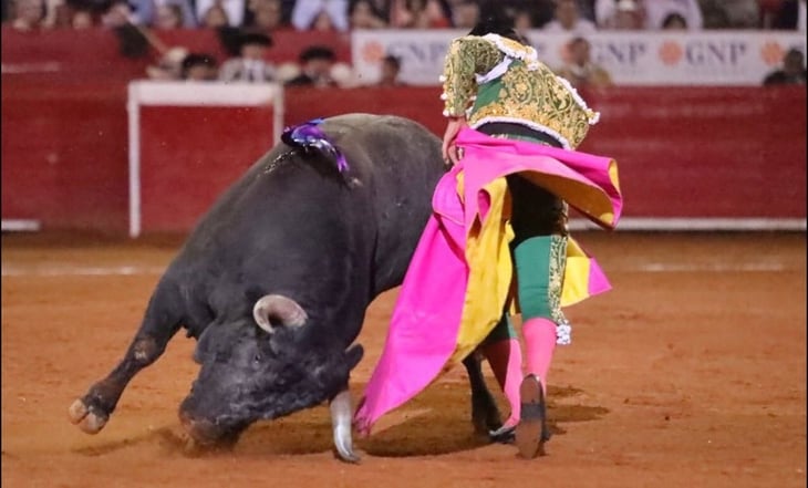 SCJN aprueba regreso de corridas de toros; ¿por qué se habían prohibido en México?