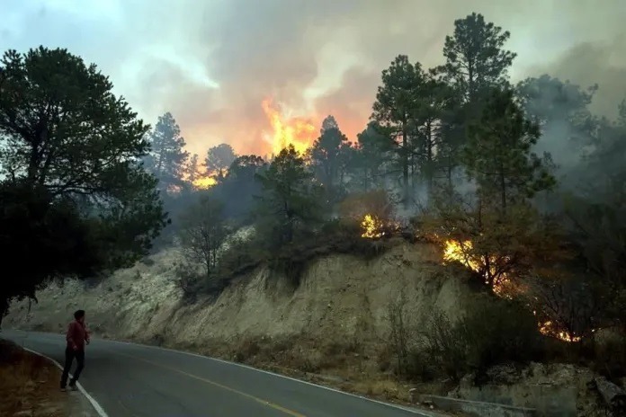 Baja incidencia de incendios forestales