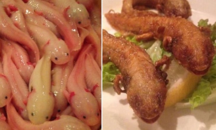 Indigna a internautas presunto platillo de ajolotes fritos de restaurante japonés
