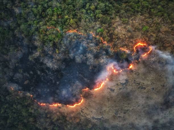 Coahuila aprobó una nueva ley que dificulta las inspecciones, provoca incendios y permite quemas negligentes en zonas boscosas