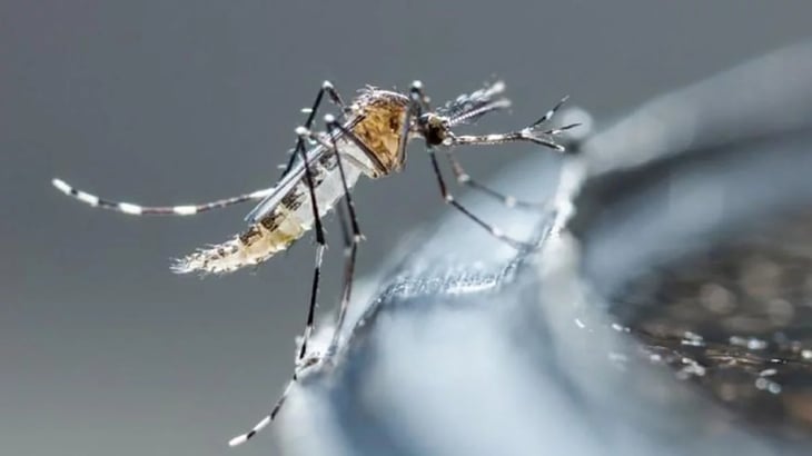 Dengue, ¿la próxima ‘gran pandemia’? 2023 se enfila a ser el año con más casos de la historia