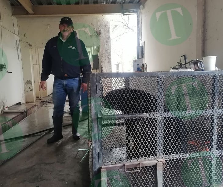 Osa cuidada por el zoológico será liberada en rancho de San Buenaventura