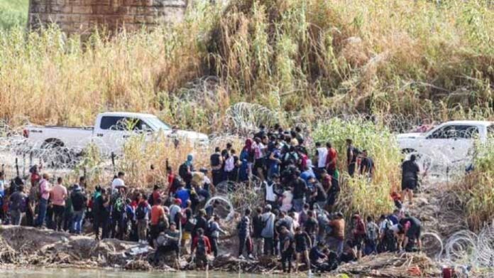 Provoca ola migrante crisis de derechos humanos