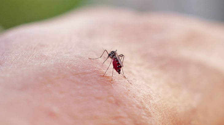 OMS alerta sobre expansión del dengue, con 5 mil muertes en 2023
