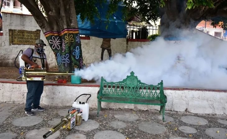 Alerta Mundial: Dengue amenaza a la mitad de la población global, advierte la OMS