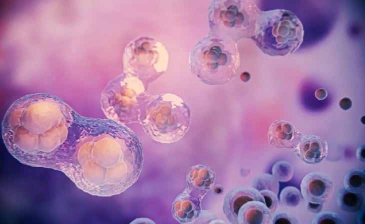 Científicos de la Universidad Rice eliminan células cancerosas con 'martillos neumáticos moleculares'