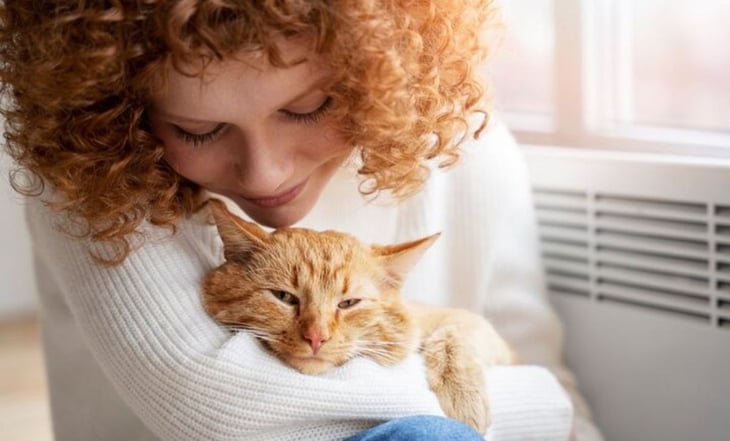 10 razones para adoptar un gato si vives solo, según la ciencia