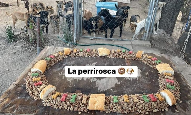 La peculiar Rosca de Reyes que le regalaron a refugio de perritos en Tlaxcala: VIDEO