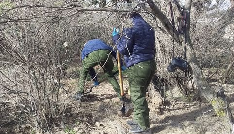 Encuentran fosas con restos humanos de 10 personas en Luis Moya, Zacatecas