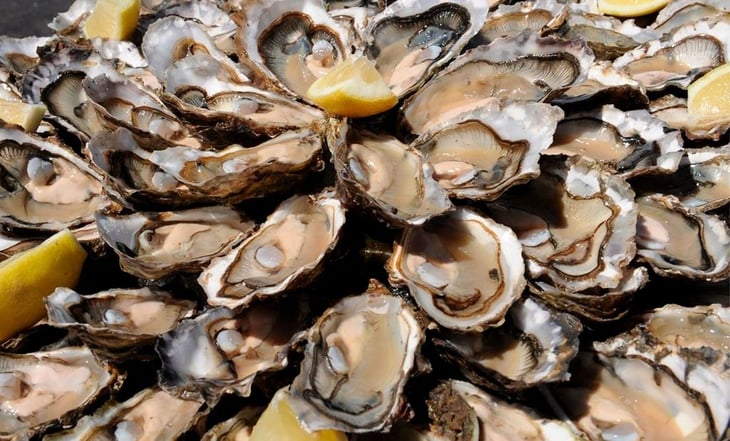 EU lanza alerta contra ostras criadas en México por potencial contaminación de norovirus