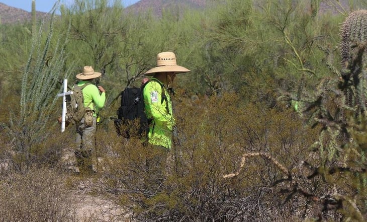 Encuentran restos humanos de cinco personas en fosa clandestina de Irapuato, Guanajuato