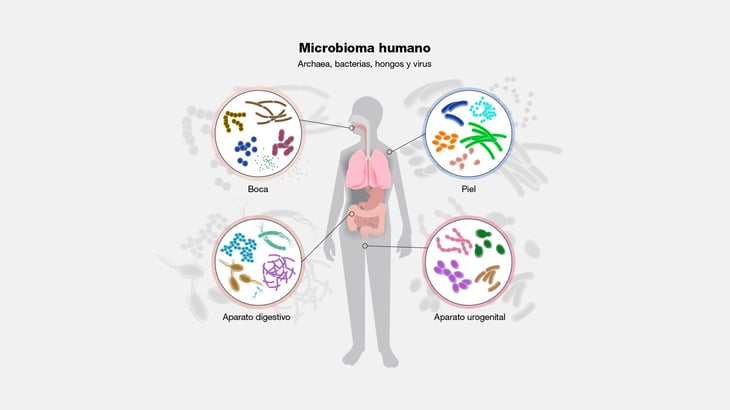 ¿Hacia dónde se dirige la 'revolución del microbioma'?