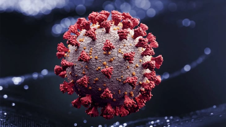 Secuencia genética del coronavirus se envió a la base de datos de EU dos semanas antes de que la divulgación