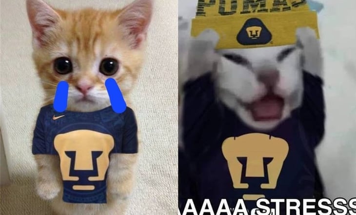 Pumas se roba los mejores memes al perder contra el Atlético de San Luis