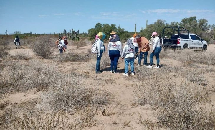 Suman 56 cuerpos hallados por Madres Buscadoras de Sonora en comunidad El Choyudo, en Hermosillo