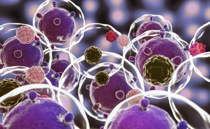 UNAM desarrollan molécula contra metástasis por cáncer de mama
