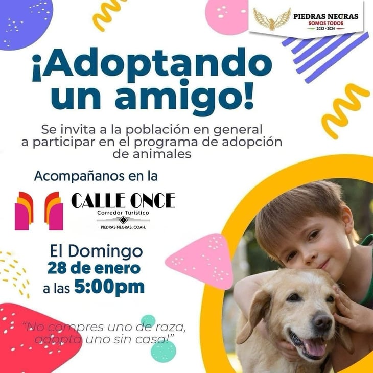 Invitan a la campaña 'Adopta un Amigo' en la Calle 11