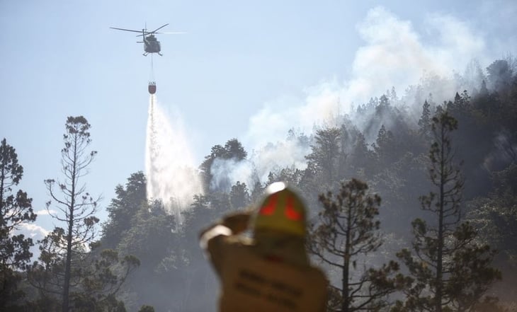 Reportan grave incendio en el argentino Parque Nacional Los Alerces, Patrimonio Mundial de UNESCO