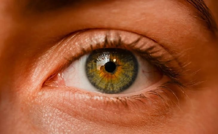La vitamina que previene cataratas, glaucoma y mejora tu vista
