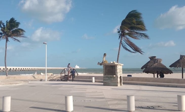 Fuertes vientos por el frente frío 32 impactan a Yucatán