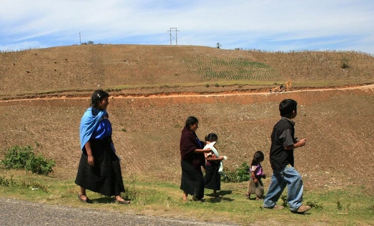 Propone PRI reforma de apoyo a padres o madres solteros de comunidades indígenas o afromexicanas