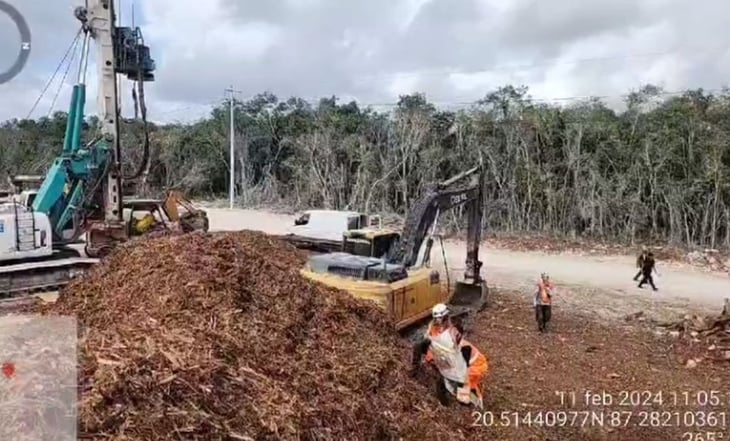 Retienen a activistas que recopilaban evidencia de la deforestación en tramo 5 del Tren Maya