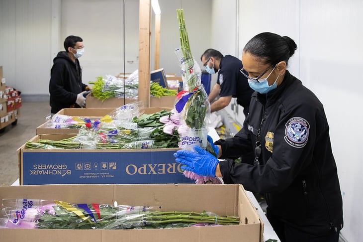 CBP se prepara para las importaciones de flores por San Valentín