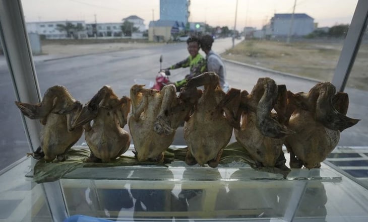 Muere niño de 9 años tras dar positivo al virus de la gripe aviar en Camboya