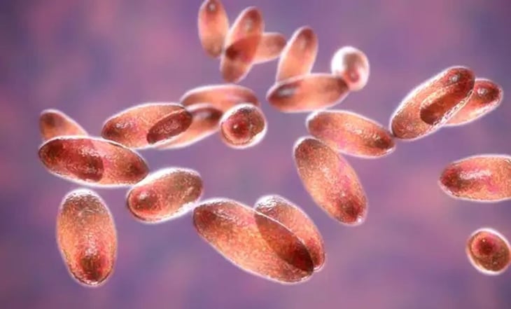 Confirman en Oregon el primer caso humano de peste bubónica desde 2015