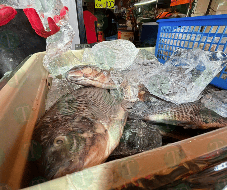 Ganancias en pescaderías y venta de mariscos 50% por la Cuaresma