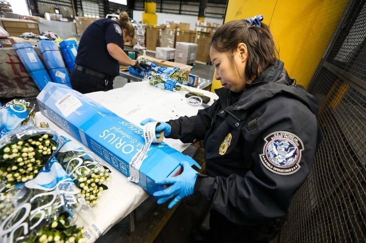 CBP supera los mil millones de importaciones de flores para el día de San Valentín