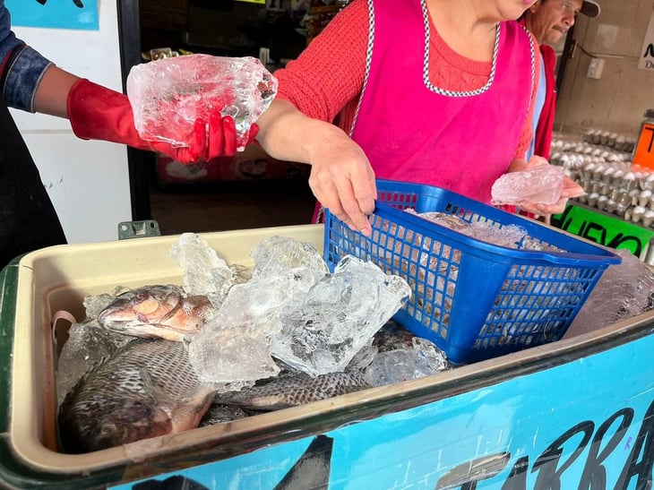 Alza de 50% en ventas de mariscos en pescaderías por la Cuaresma