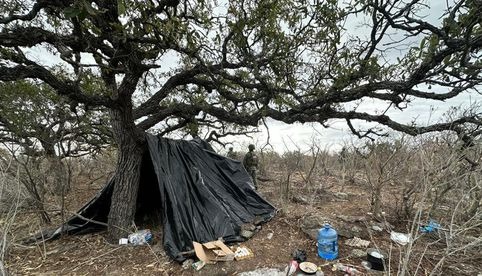 Desmantelan dos campamentos del crimen en Zacatecas 