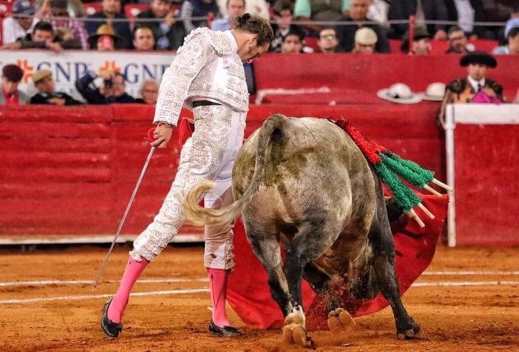 Partidarios taurinos quieren el sacrificio del toro a la usanza española