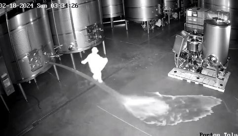VIDEO: Así se perdieron miles de litros de vino en España, valuados en 2.7 mdd