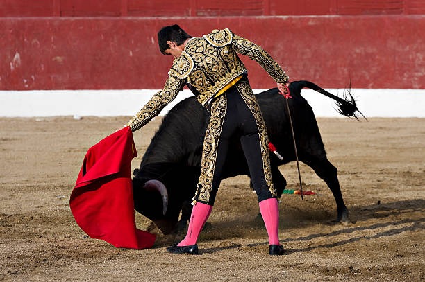 Solicitan al Tribunal Superior de Justicia que determine si la prohibición de las corridas de toros en Coahuila es inconstitucional